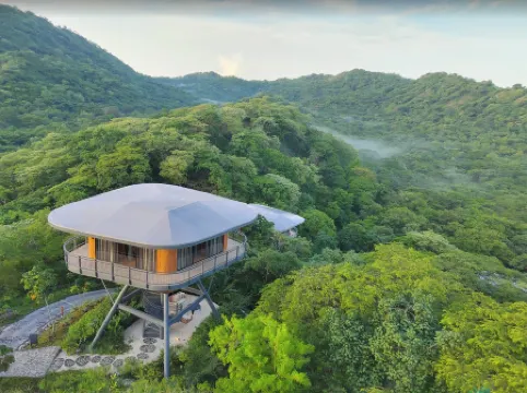 Suitree Experience Hotel