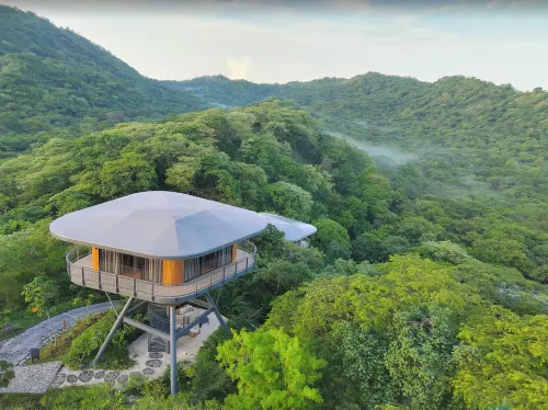 Suitree Experience Hotel