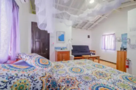 Mr. Ed's Adventures Belize Hotels in 