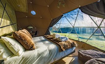 Luna Domes