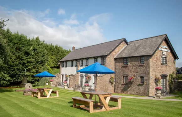 灰狗旅館及酒店