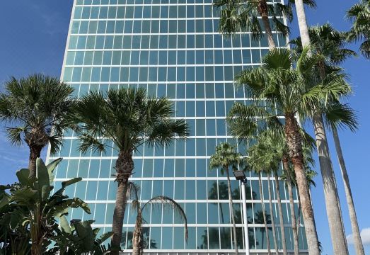 2. 더블트리 바이 ..