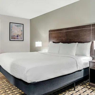 Quality Inn Detroit Downtown Hotels near The Aretha Franklin Amphitheatre