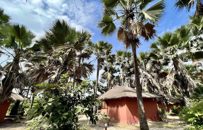 Nemasu Eco-Lodge