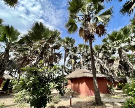 Nemasu Eco-Lodge Hotels in Kombo South