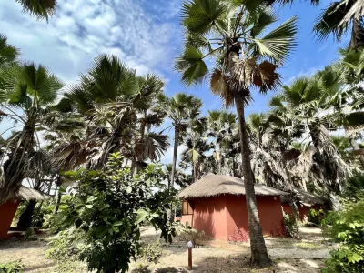Nemasu Eco-Lodge Hotels near Lemonfish Art Gallery