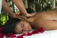 Hotel Pousada Bonsai - Spa