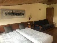 Apartamentos Solineu Hotels in Alp