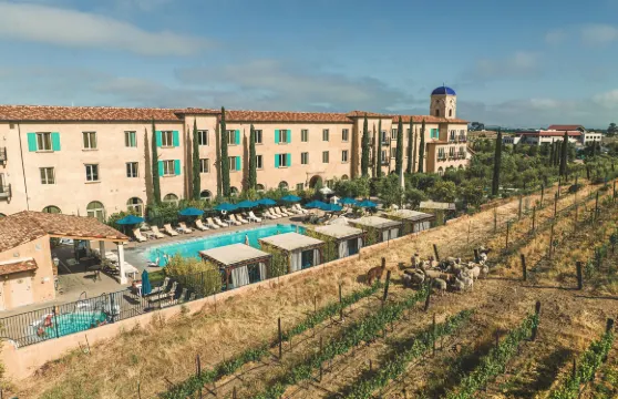 帕索羅布爾斯阿勒格瑞託葡萄園度假酒店