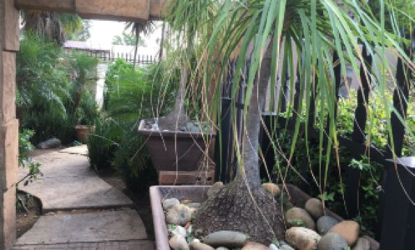 House on Morninghill