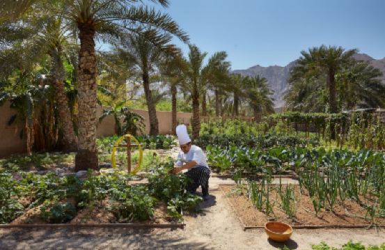 施設外観 シックス センシズ ジギー ベイの写真
