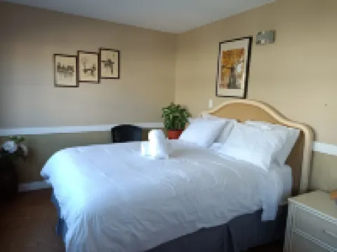 Painted Turtle Guesthouse Hotels in Nanaimo