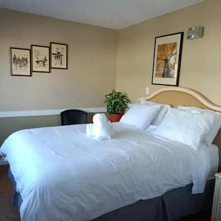 Painted Turtle Guesthouse Hotels in Nanaimo