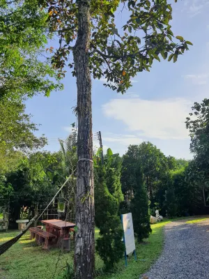 Saengcha Farm Resort Các khách sạn ở Prachantakham