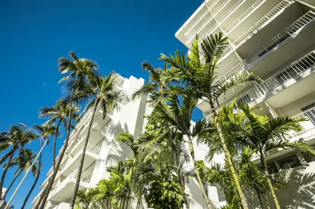 Oasis Hotel Waikiki
