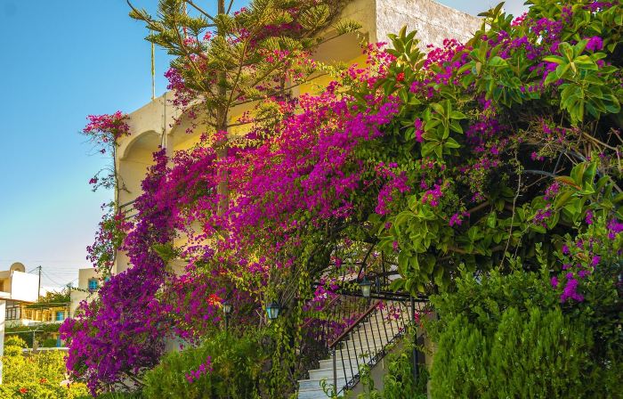 Skala Hotel
