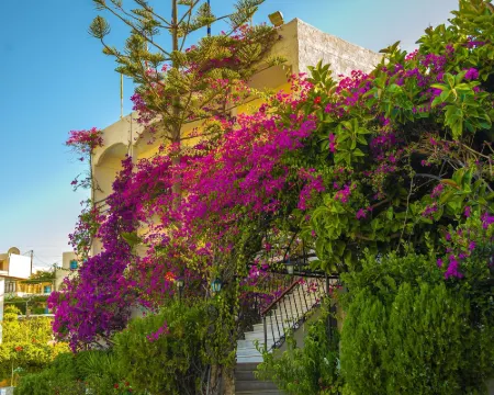Skala Hotel Hotels in Patmos