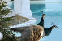 Los Pilares de Ronda Boutique & Hotel - Romantic