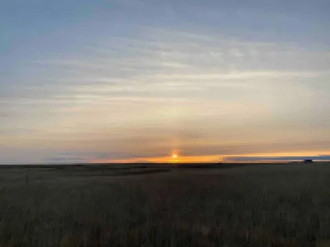 Hamar - Puffin Cottages & Rooms Hotels in Rangarthing eystra