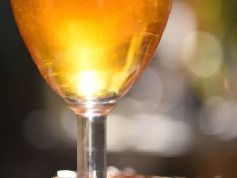 ホテル スパ ル カレンダル アルルのホテル