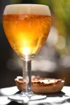 Hotel Spa le Calendal Hotels in Arles