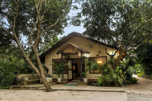 Jim Corbett National Park - شرفة