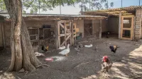 Traldi Resort - Farmhouses