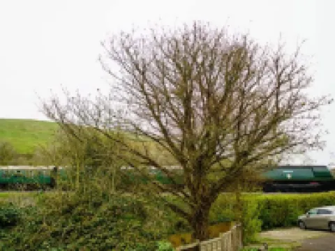 Bankes Arms Hotel Hoteles en Wareham