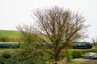 Bankes Arms Hotel Hotels in Purbeck District