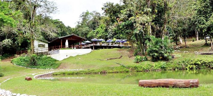 Eco Chalés Luar Das Marés Hotels in Ubatuba