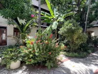 Paseo Colonial - Sabbatical 1 - 4-Star