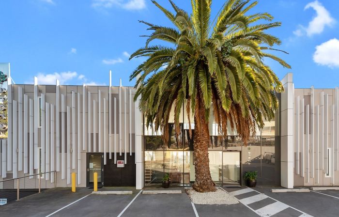 Areca Launceston