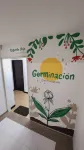 Hotel Natural Sevgi