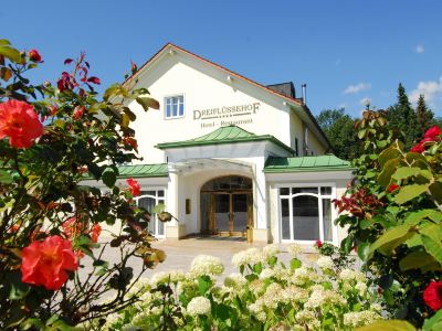 Hotel Dreiflüssehof