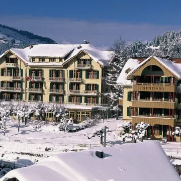 Historic Hotel Falken
