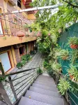 Green Space Homestay