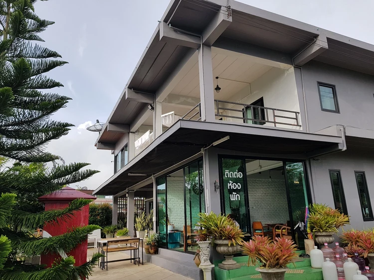 รูปภาพของต้นค้อแอทโฮม