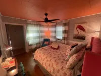 Funky Flamingo - Homestays