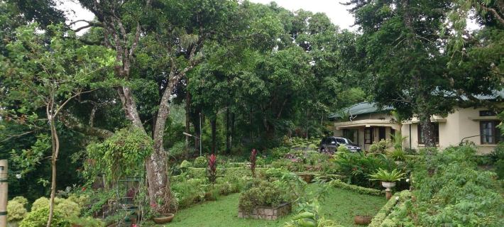 Ancoombra Tea Estate Bungalow Hotels in Matale