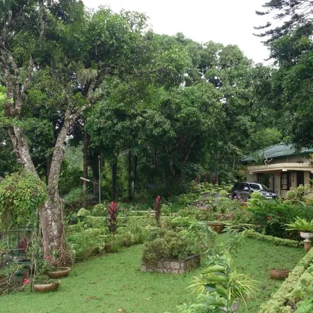 Ancoombra Tea Estate Bungalow