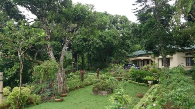Ancoombra Tea Estate Bungalow