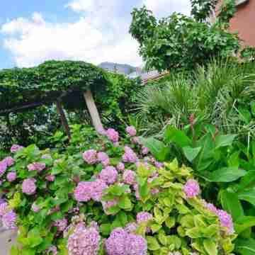 Palma Apartments Hotel Exterior