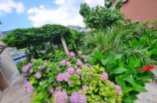 帕爾馬公寓 酒店