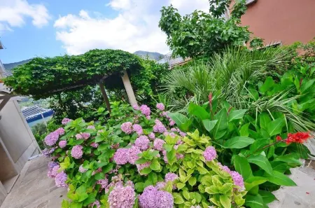 Palma Apartments Отели рядом с достопримечательностью «Kampana Tower»