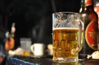 Nepal Himalayan Paulownia Resort Hotels in Meghauli