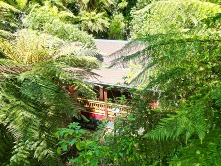 Secluded forest Retreat, Paradise Valley, Rotorua. Отели рядом с достопримечательностью «Парадайс Вэлли Спрингс»