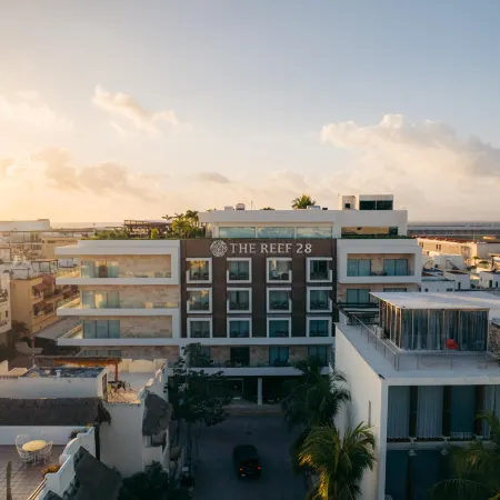 The Reef 28 Hotel & Spa - Luxury Adults Only - All Suites - with Optional All Inclusive Отели рядом с достопримечательностью «Пляжный клуб Kool»