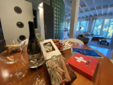 Luxury loft downtown Geneva