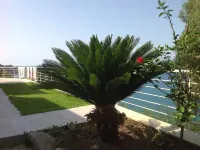 The swimming villa with pool