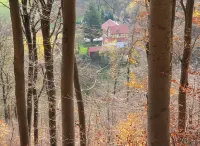 Vacations Langer Grund in the middle of the forest